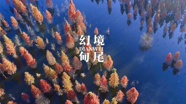 浙江台州发生多起多车连环相撞车损事故现场人员均安全疏散