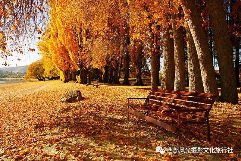 《少年歌行》暗河是个啥玩意？高手有哪些？为何帮助萧羽对付萧瑟