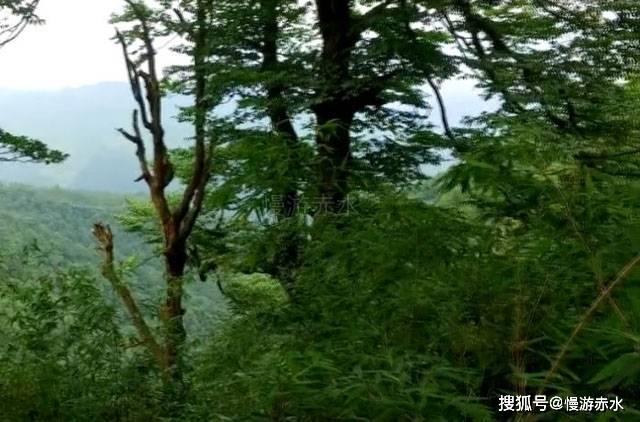 60年代美女明星 ，凭《英雄儿女》成名后无戏可拍