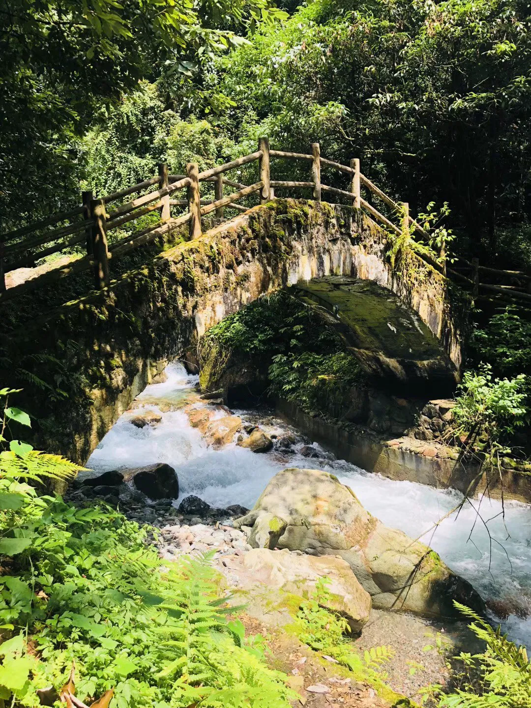 刘涛线下活动图曝光!穿红色紧身裙秀“花瓶腰”
