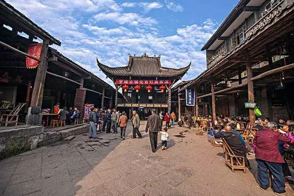 冬季要吃这道菜,不仅降脂降压、还能防癌抗癌,而且做法简单